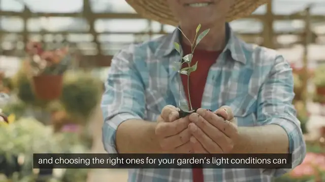 Video thumbnail for Selecting Plants By Sun
