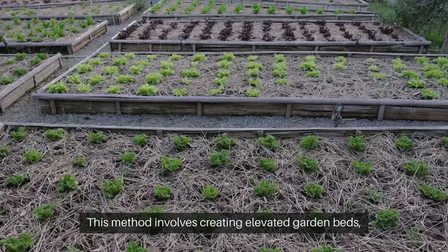 Video thumbnail for Raised Bed Gardening Techniques
