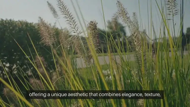 Video thumbnail for Ornamental Grass Gardens