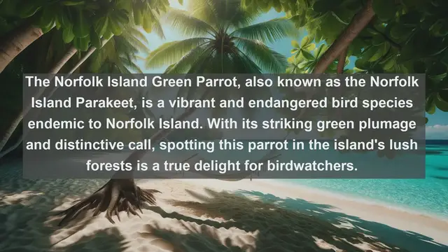 Video thumbnail for Discovering Norfolk Island: Top 10 Native Animals You Must See!