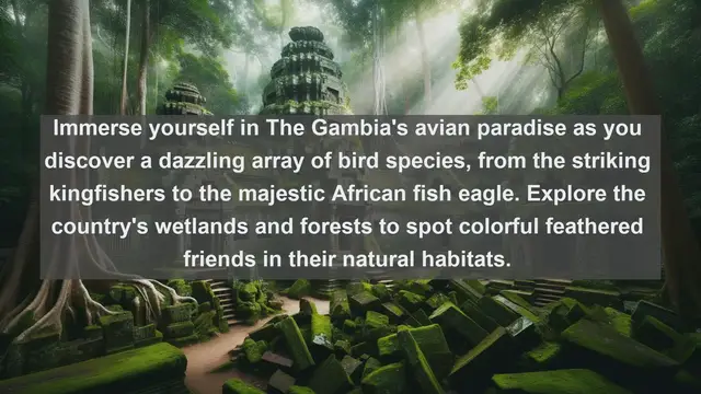 Video thumbnail for Discover The Gambia's Wildlife Wonders: Top 10 Native Animals in The Gambia