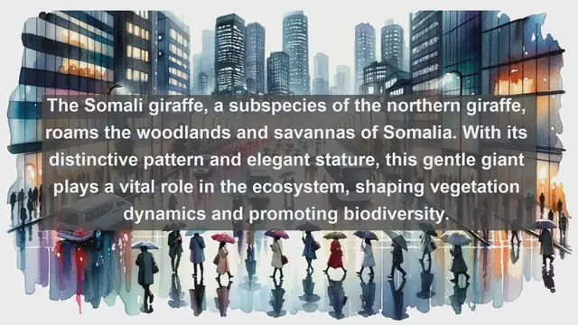 Video thumbnail for Top 10 native animals in Somalia