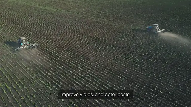 Video thumbnail for Companion Planting Tips