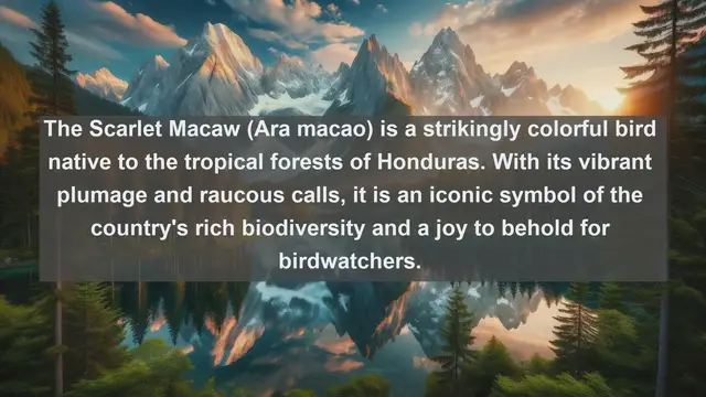 Video thumbnail for Exploring Honduras' Natural Wonders: Top 10 Native Animals Revealed!