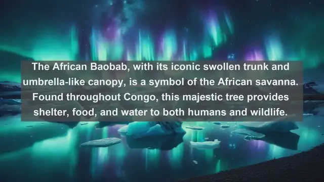 Video thumbnail for Exploring Congo's Biodiversity: Top 10 Native Plants You Need to Know