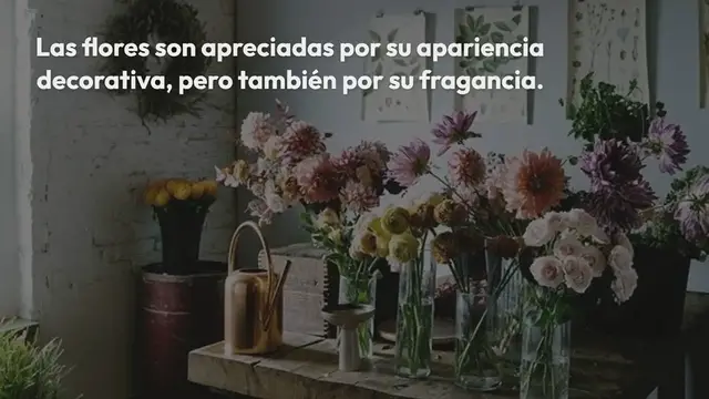 Video thumbnail for El consejo de los floristas para almacenar flores cortadas durante 1 mes o más
