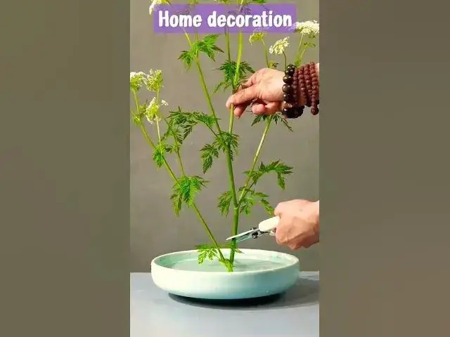 Video thumbnail for home decoration trick and tips #homemakinghacks #trending #trendingshorts #homedecor