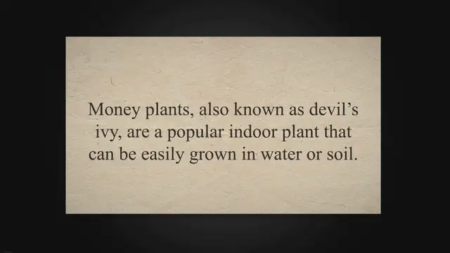 Video thumbnail for Rice Water for Money Plant