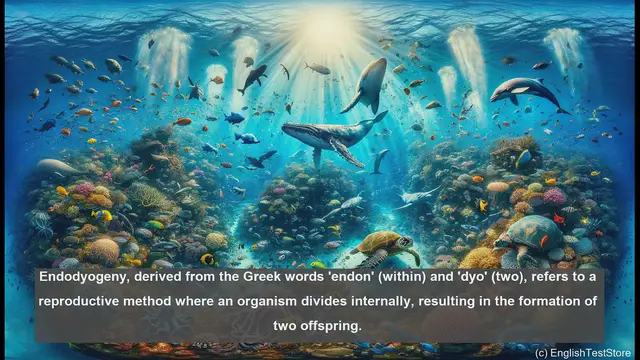 Video thumbnail for Endodyogeny in biology - meaning, definition and examples