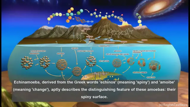 Video thumbnail for Echinamoeba in biology - meaning, definition and examples