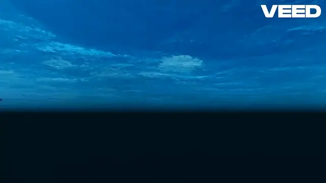 Video thumbnail for Top Tips for Turtle Health: Essential Care & Maintenance for a Long, Happy Life