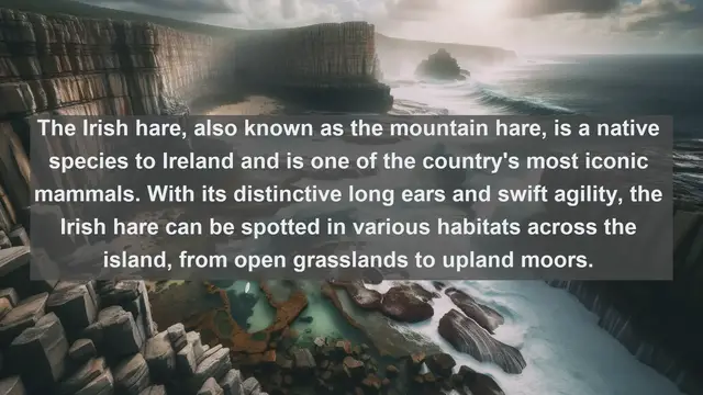 Video thumbnail for Exploring Ireland's Wildlife: Top 10 Native Animals You Must See!