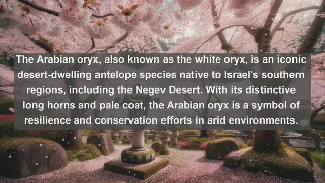 Video thumbnail for Exploring Israel's Wildlife: Top 10 Native Animals You Need to See!