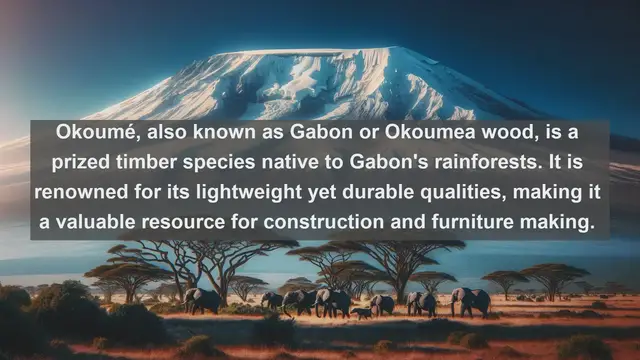 Video thumbnail for Exploring Gabon's Natural Treasures: Top 10 Native Plants Revealed!