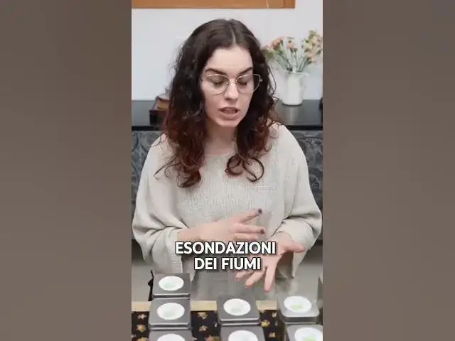 Video thumbnail for Cambiamento climatico e Tè: come il clima sta cambiando il gusto della tua bevanda