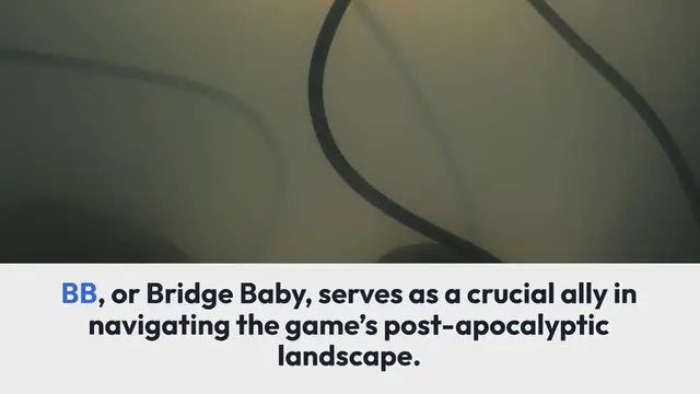 Video thumbnail for BB Companion System Explained