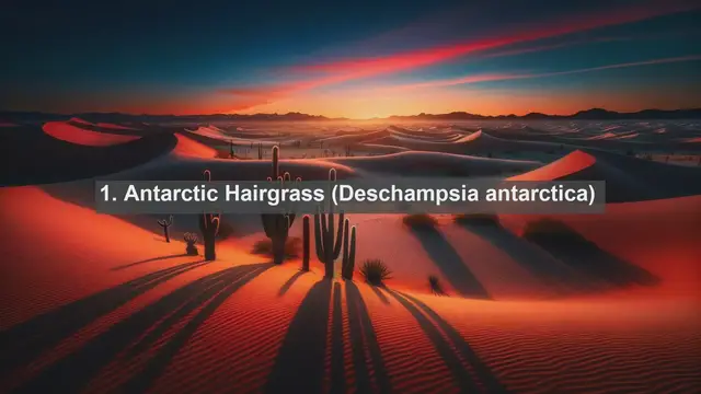 Video thumbnail for Unveiling Antarctica's Hidden Gems: Top 10 Native Flora Species