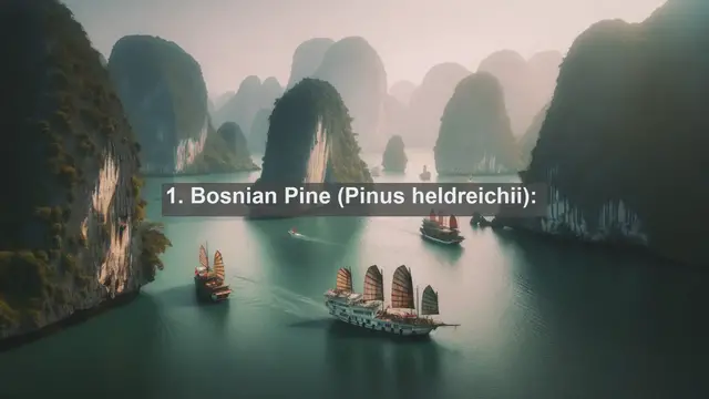 Video thumbnail for Unveiling Bosnia and Herzegovina's Flora: Top 10 Native Plants