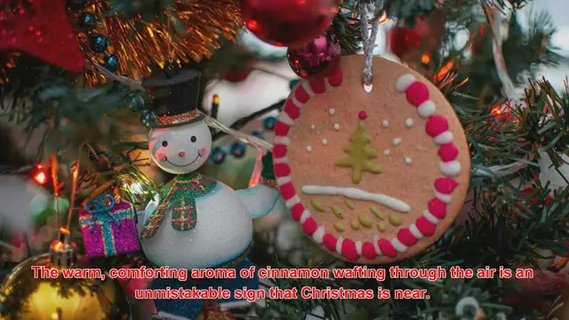 Video thumbnail for Why Is Cinnamon A Popular Christmas Spice?