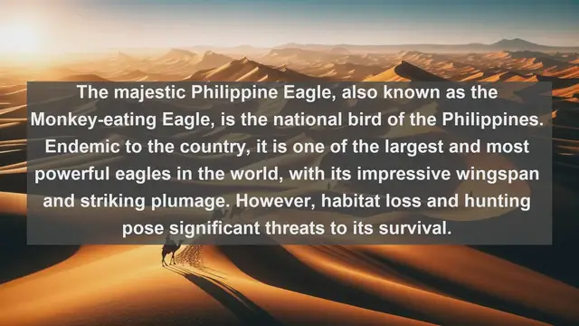 Video thumbnail for Wings of the Philippines: Discovering the Top 10 Native Birds