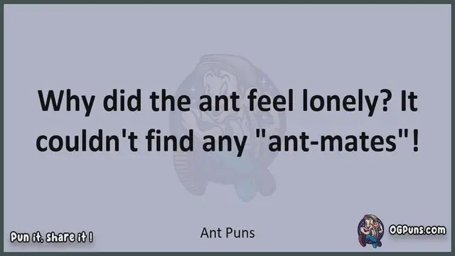 Video thumbnail for Ant - Jokes, Puns, Wordplays, and Laughter