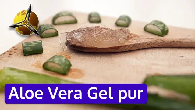 Video thumbnail for Aloe Vera Gel pur aus Blättern ernten / herstellen