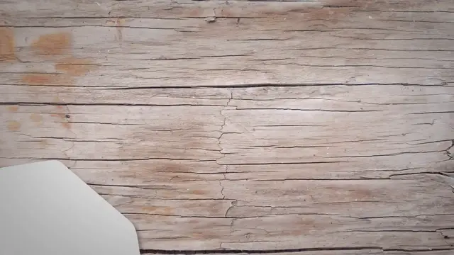 Video thumbnail for What Happens If Cats Eat Fleas?