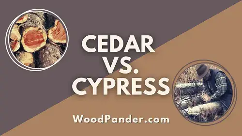 'Video thumbnail for Cedar vs Cypress Wood: Hidden Advantages'