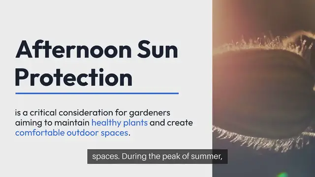 Video thumbnail for Afternoon Sun Protection Gardening