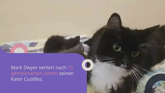 Video thumbnail for Beeindruckende Tierliebe: Was dieser Mann für eine Katzenfamilie tut, geht wirklich unter die Haut