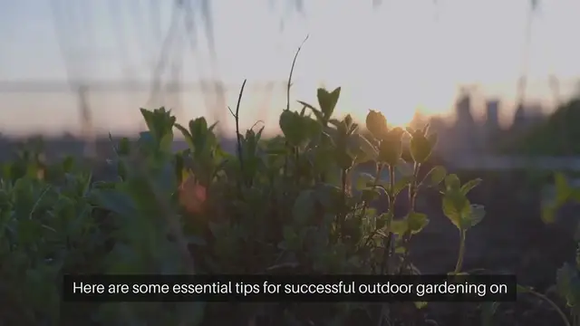 Video thumbnail for Outdoor Gardening Tips for Urban Rooftops