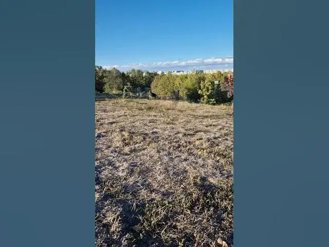 Video thumbnail for 😆