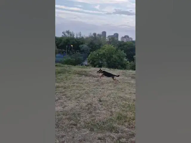 Video thumbnail for with dad