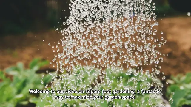 Video thumbnail for Square Foot Gardening