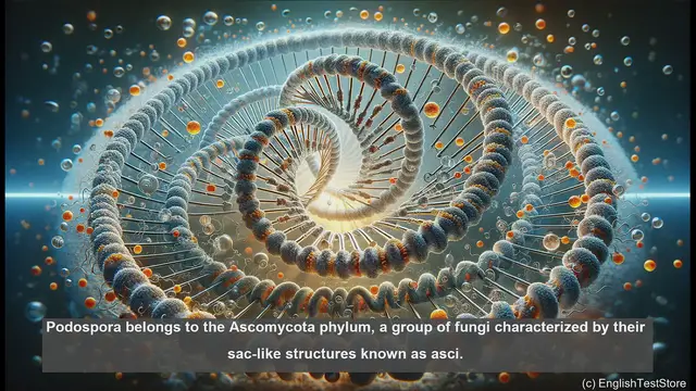 Video thumbnail for Podospora in biology