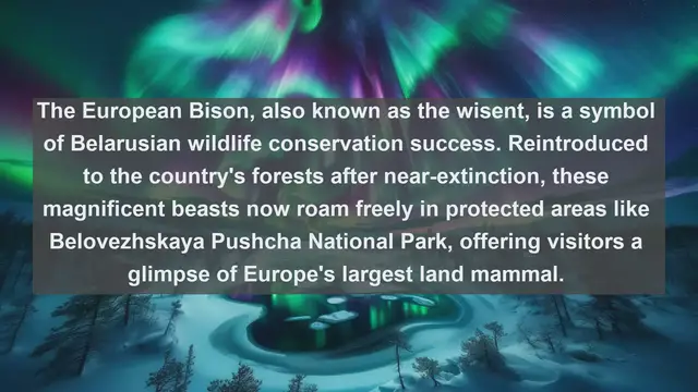 Video thumbnail for Discovering Belarus' Wildlife Treasures: Top 10 Native Animals