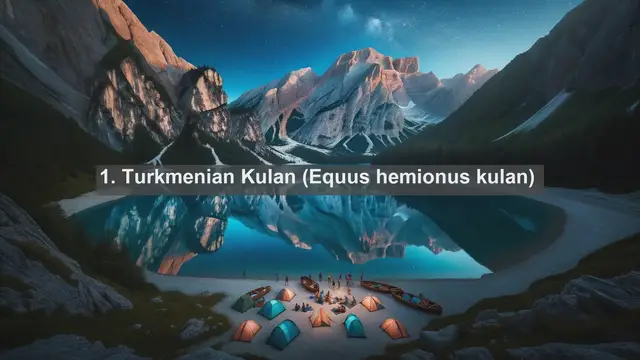 Video thumbnail for Discovering Turkmenistan's Wildlife: Top 10 Native Animals in Turkmenistan