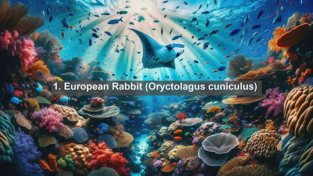 Video thumbnail for Discovering Monaco's Wildlife: Top 10 Native Animals You Need to See!