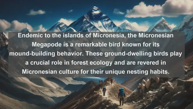 Video thumbnail for Unveiling Micronesia's Hidden Treasures: Top 10 Native Animals