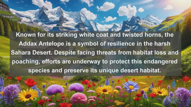 Video thumbnail for Discover the Wild Heart of Niger: Top 10 Native Fauna