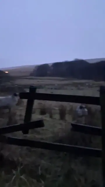 Video thumbnail for Behind The Scenes and a farm yard face-off