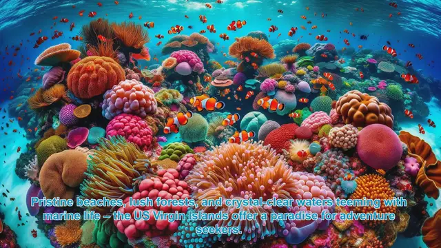 Video thumbnail for Discover the Top 10 Adventure Destinations in the US Virgin Islands