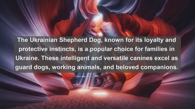 Video thumbnail for Ukraine's Top 10 Most Beloved Pets: Discover the Furry and Feathered Companions of Eastern Europe