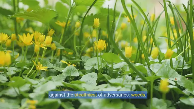 Video thumbnail for Green Thumbs & Musical Buds: A Gardening Parody Playlist