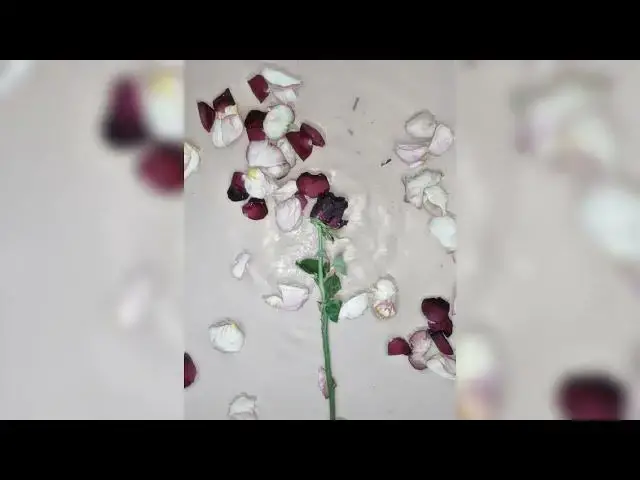 Video thumbnail for Shay C - Coming home (official audio)