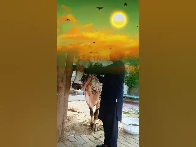 Video thumbnail for unfreeze my account please 🥺