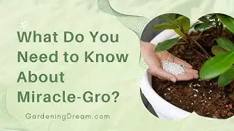 Video thumbnail for What Do You Need to Know About Miracle-Gro?