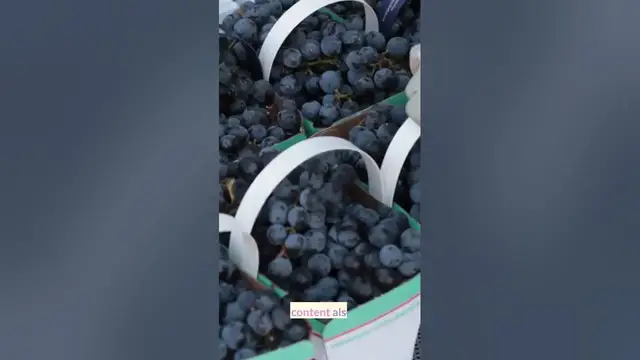 Video thumbnail for Are Grapes A Good Snack For Diabetics? 4 Superb Facts About That You Should Know About It