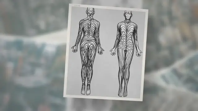 Video thumbnail for Humans Have Stripes