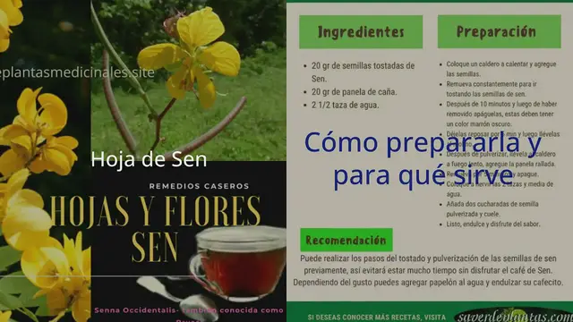 'Video thumbnail for Té de Sen o brusca'